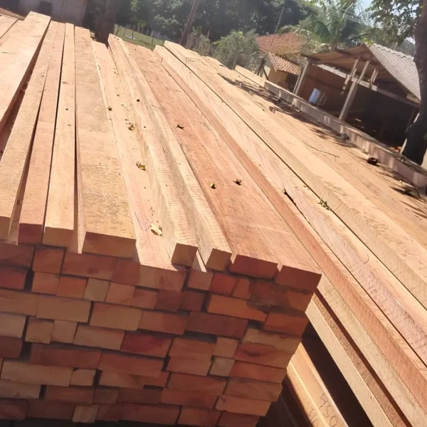 5d8135ff-a900-44ff-8f5e-57fccc5dbf3a