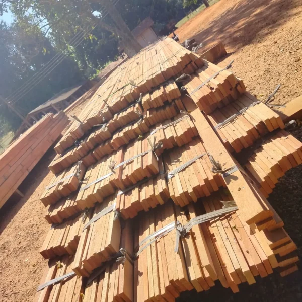 8589547e-fdd8-4d64-b126-b0690fd599cc