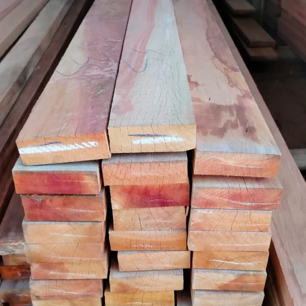 b03b039e-2640-4719-a6ad-d868b10fb59b