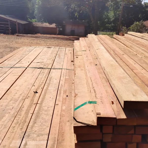 e8cd1364-8da4-4ec0-a559-19d0e7c93ace